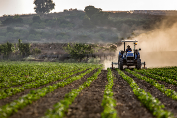 agricoltura Lazio